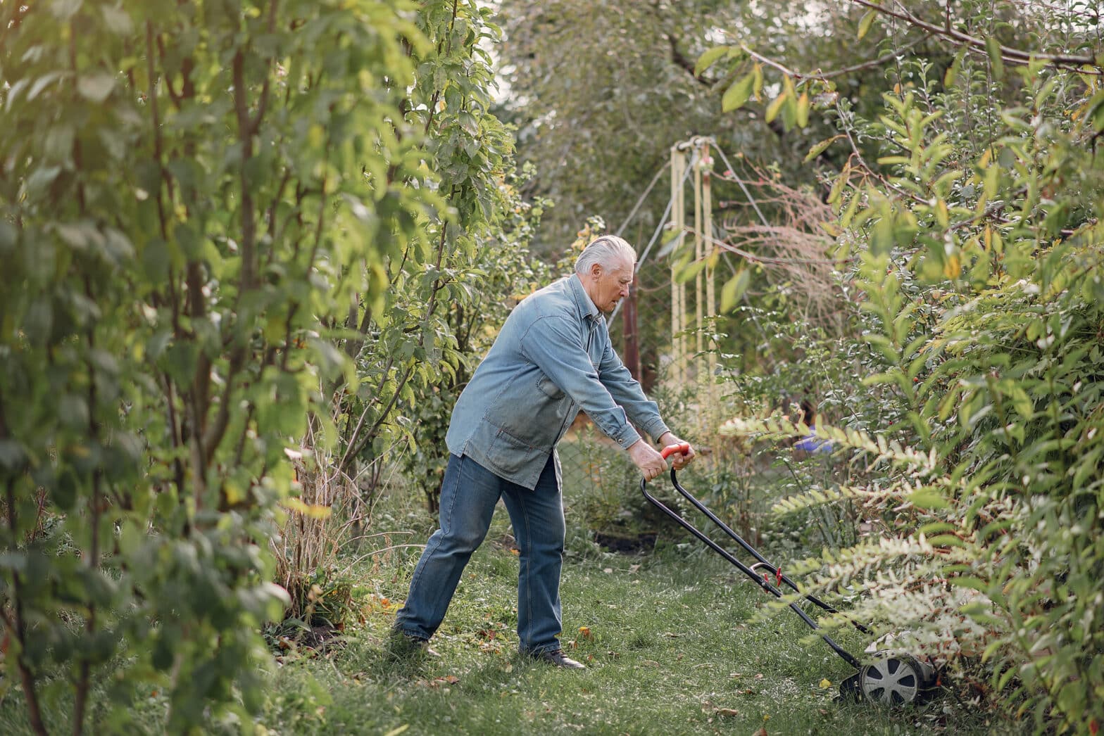 Landscaping